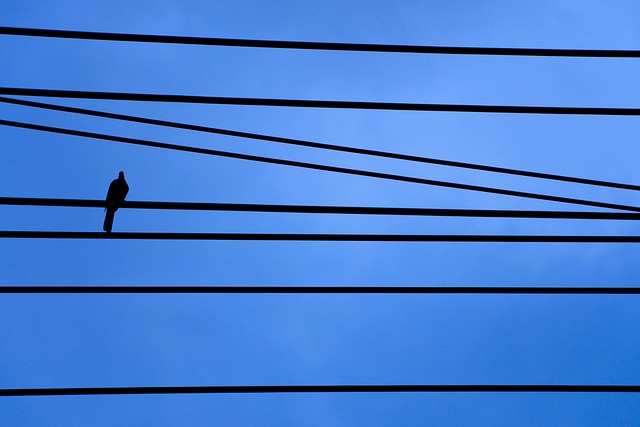 Blog image: Nifty continues to face downside risk! Nifty 200-DMA at 24071 mark.